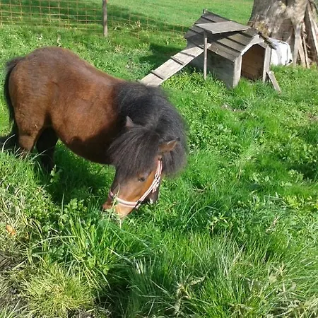 招待所 伦兹霍夫旅馆 艾奇