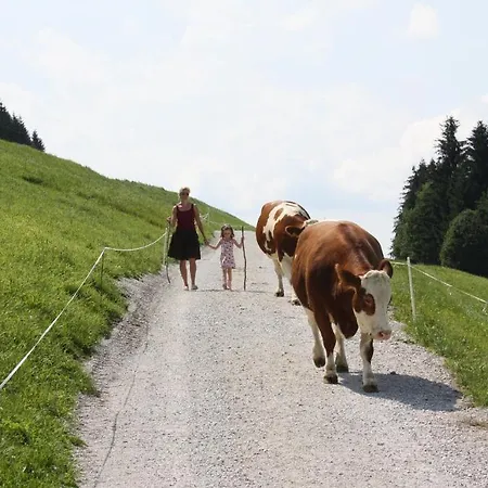 招待所 伦兹霍夫旅馆 3*