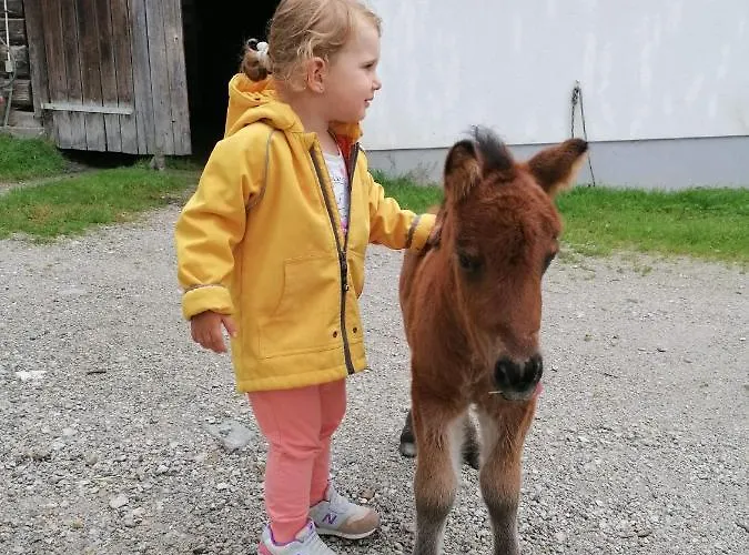 Rainzhof Pensión 3*