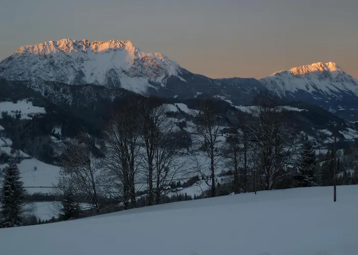 Rainzhof بيت ضيافة 3*