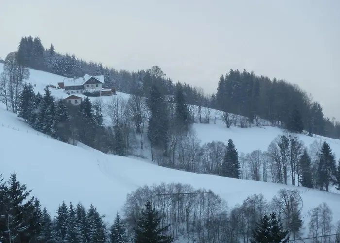 بيت ضيافة Rainzhof 3*