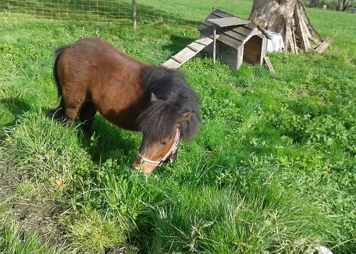 بيت ضيافة Rainzhof آيش