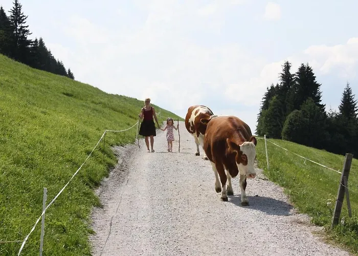 بيت ضيافة Rainzhof 3*