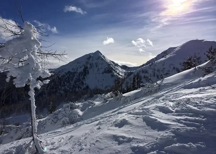 Pensión Rainzhof Aich (Styria)