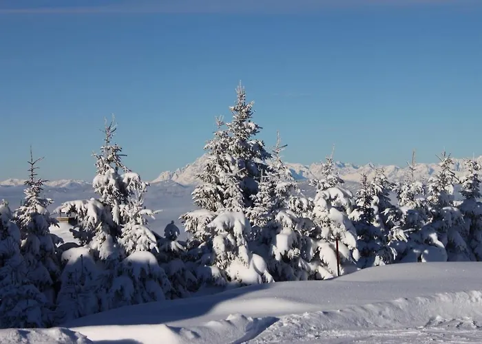 بيت ضيافة Rainzhof